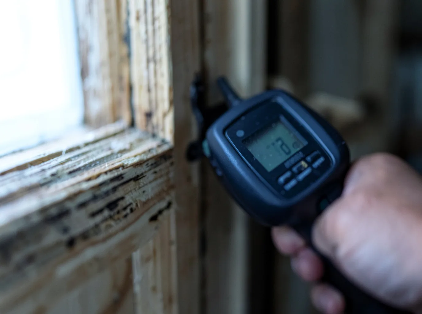 Moisture Inspection And Documentation in Shelley, ID